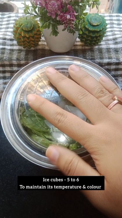 Step 1.2: Add ice cubes to maintain the temperature and green colour of the chutney