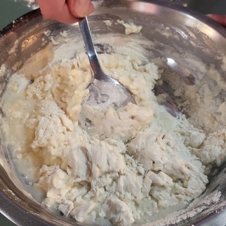Step 1.2: In a bowl, combine all the ingredients