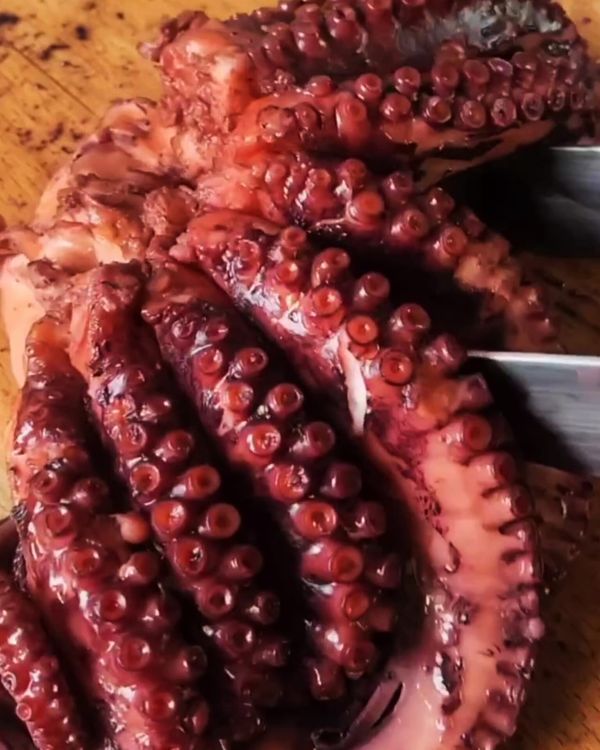 Step 1.1: Remove the octopus from the water and pat it dry