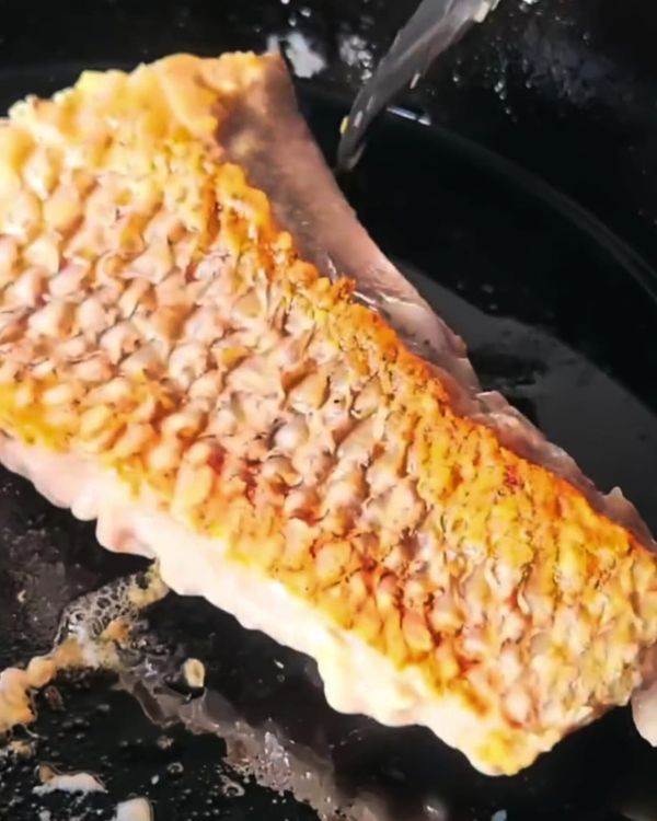 Step 1.1: Place the fillets skin-side down and sear until crispy