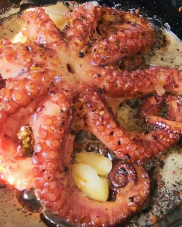 Step 1.1: Place the octopus in a pan of water and bring it to a simmer over high heat