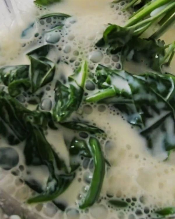 Step 1.1: In a blender, combine flour, eggs, milk, salt, oil, spinach, and coriander