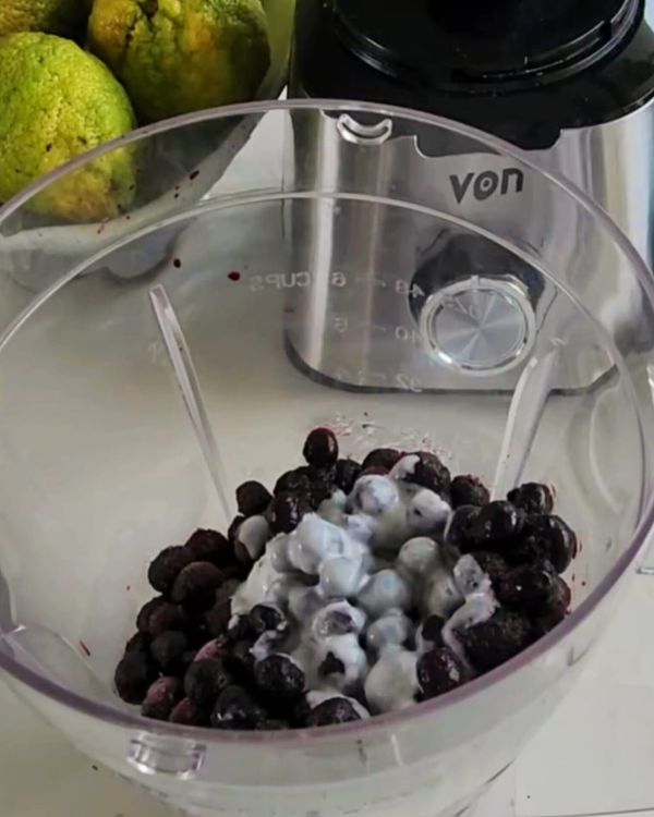 Step 1.1: Add the frozen blueberries, coconut cream, and honey to a high-speed blender