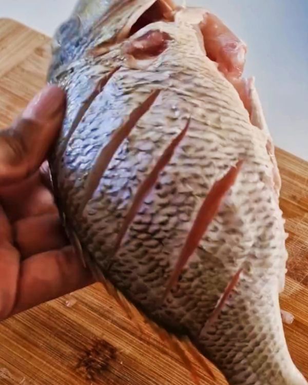Step 1.1: Score the snapper with shallow cuts on both sides