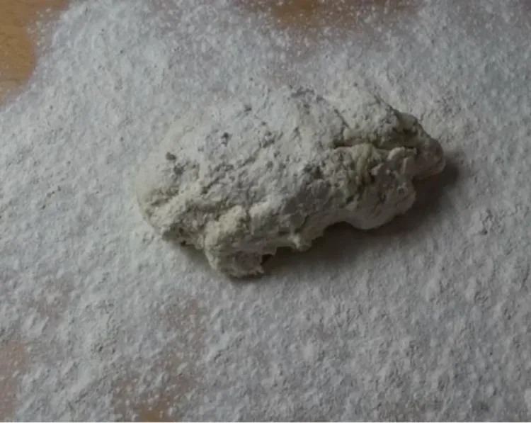 Step 1.1: On a floured surface, knead the dough gently