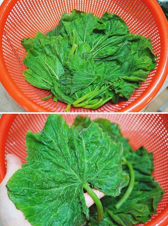 Step 1.1: Wash the pumpkin leaves or spinach leaves thoroughly