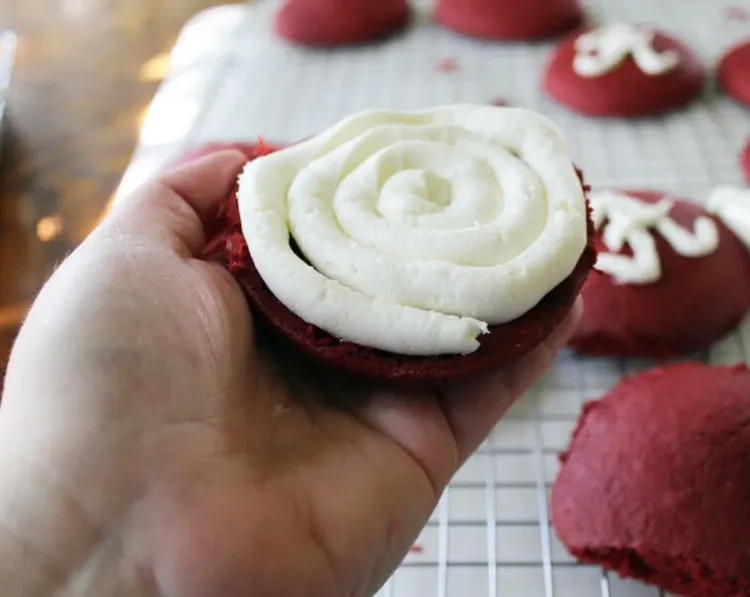 Step 4.1: Spoon the frosting into a decorating bag