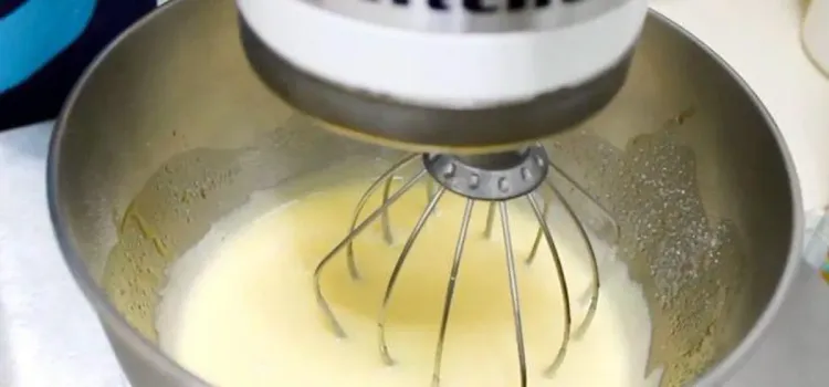 Step 1.1: In the bowl of a stand mixer, add eggs, granulated sugar, vegetable oil, and vanilla extract