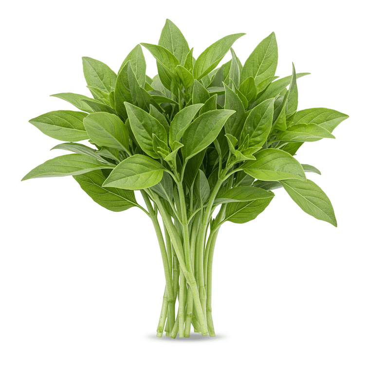 Asian Basil: Health Benefits & Recipes | [Your Site Name] | Chefadora