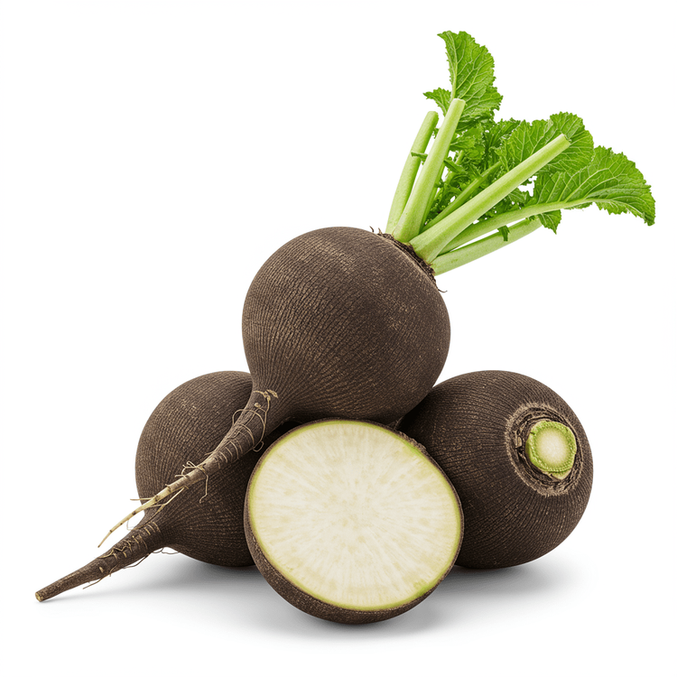 Black Ragfish Black Radish: Benefits & Recipes for Liver Health | Chefadora