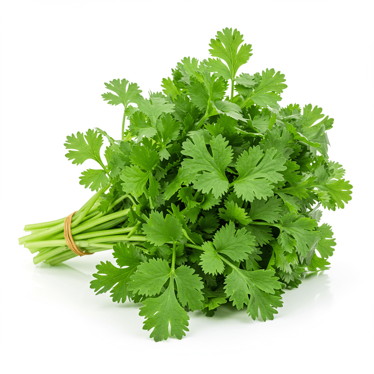 Cilantro Sprinkle Cilantro Benefits & Uses: Fresh Herb for Flavor & Health | Chefadora