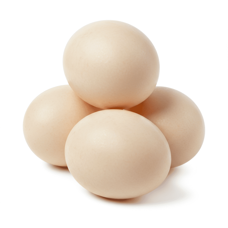 duck egg