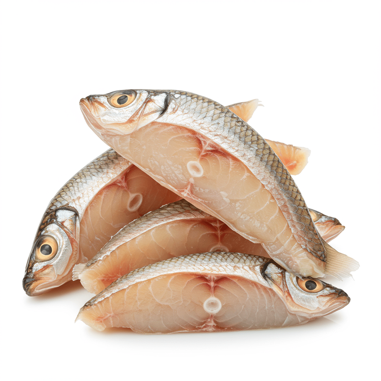 fish bouillon