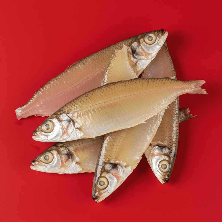 fish broth