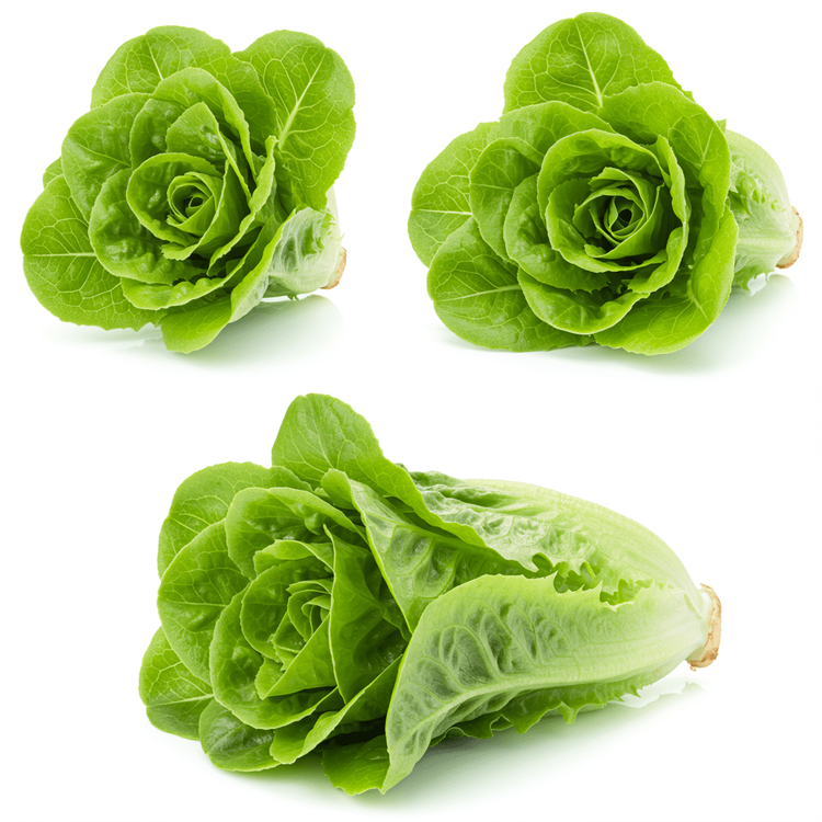 Green Leaf Lettuce: Fresh & Nutritious Salad Staple | Chefadora