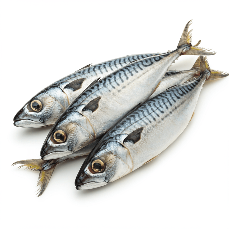 fried mackerel fish