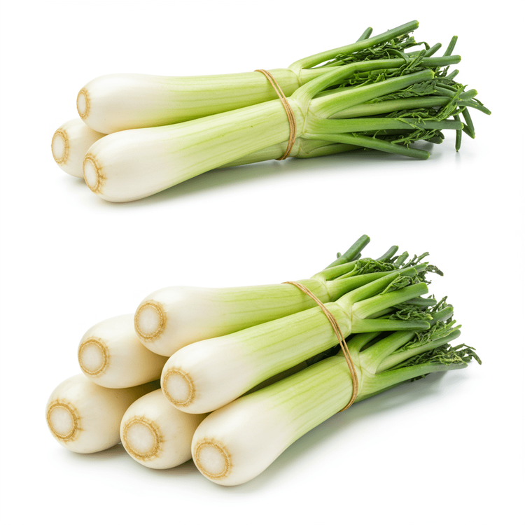 Mooli Rai Mooli (Radish) Benefits & Uses | Healthy Recipes | Chefadora