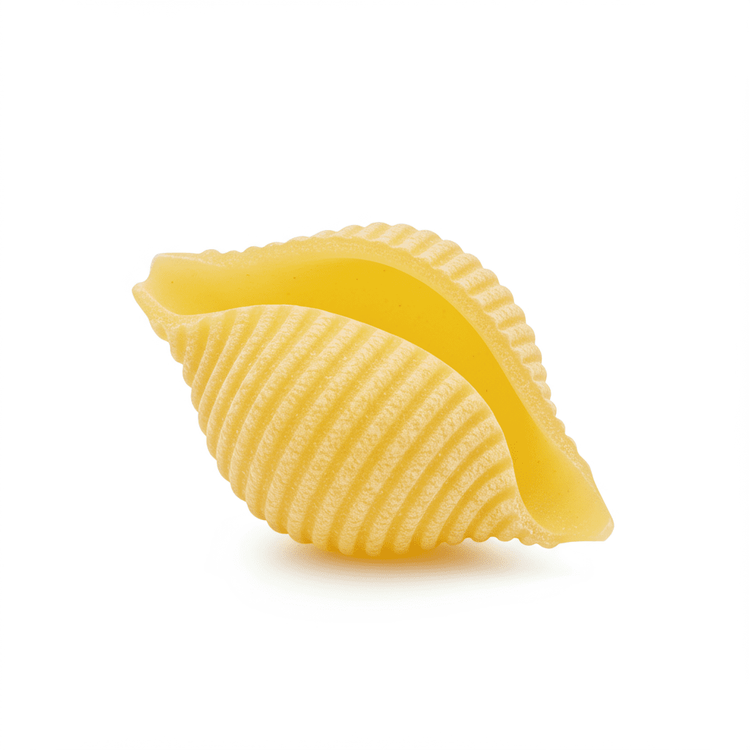 Shell Pasta String Pasta Shells: Delicious Recipes & Nutrition Info | Chefadora