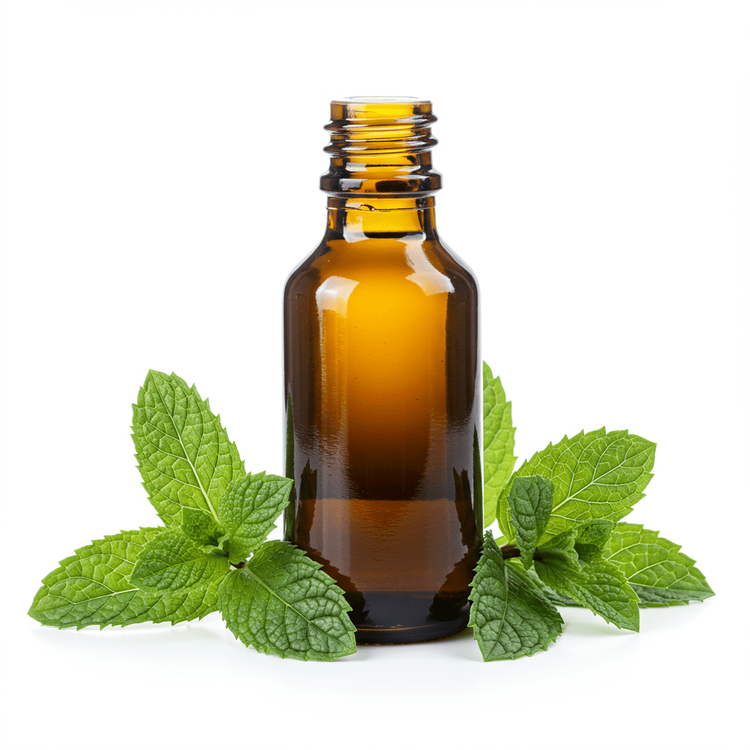 Peppermint Extract: Benefits & Uses | Nutrition Guide | Chefadora