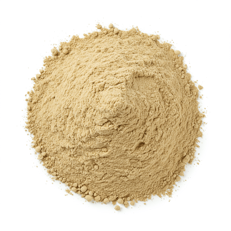 One Preservative Preservative Powder: Uses & Benefits for Food Preservation | Chefadora
