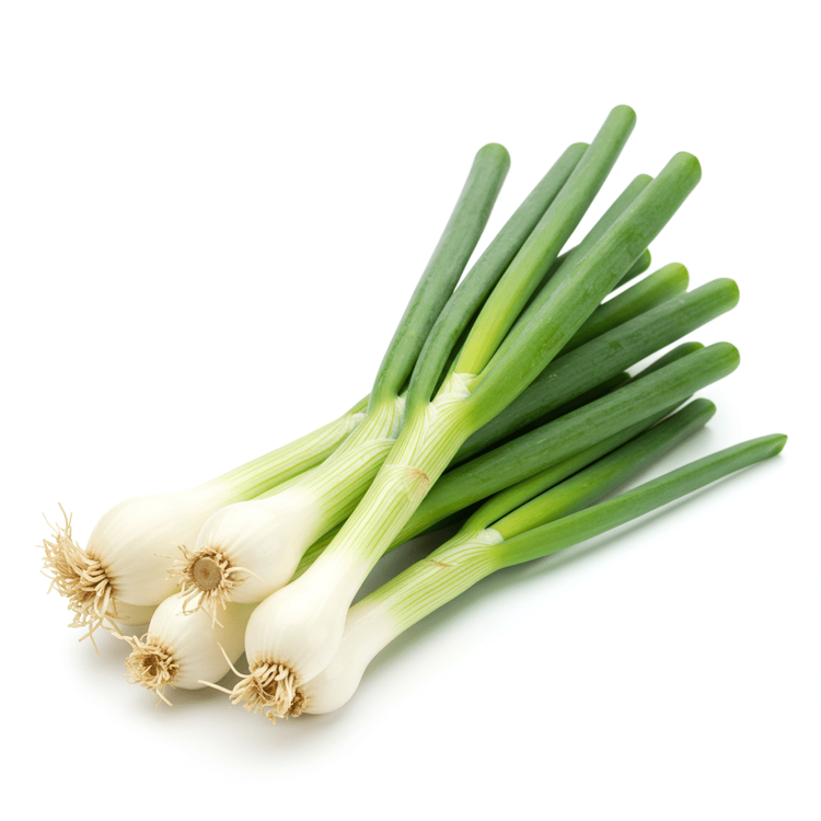 bunch Scallion