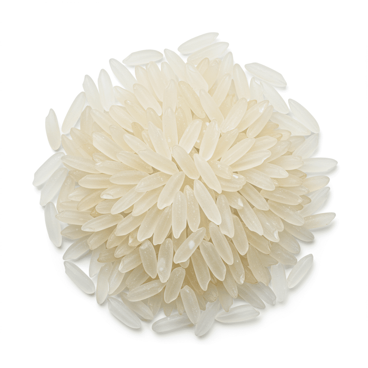 Generic Rice Short-Grain White Rice: Nutritious Recipes & Benefits | Chefadora