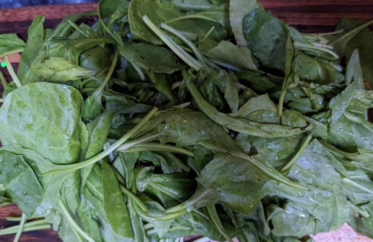 Step 1.1: Wash the spinach leaves thoroughly in flowing water and chop them 