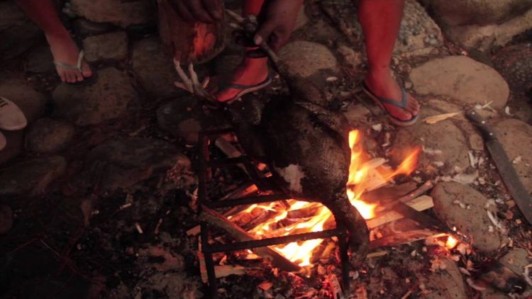 Step 1.1: Burn the remaining feathers of the chicken