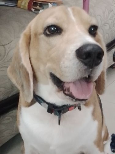 lucyjackson4ever's profile picture