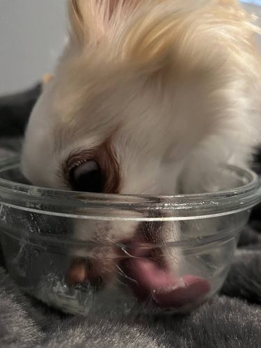 bunny's profile picture